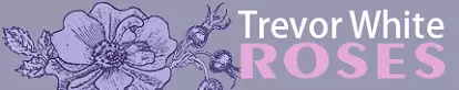 Trevor White Roses Logo