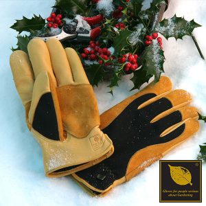Winter Touch Glove