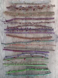 Assortment of Rose Stems.