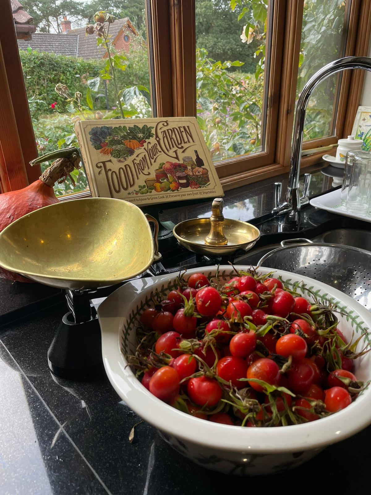 Bowl of rose-hips