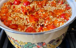 Rose-hips on the boil