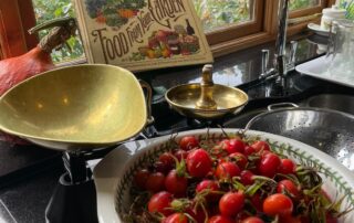 Bowl of rose-hips