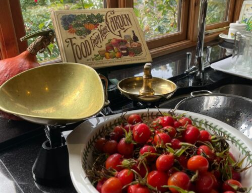 Rose-hip syrup