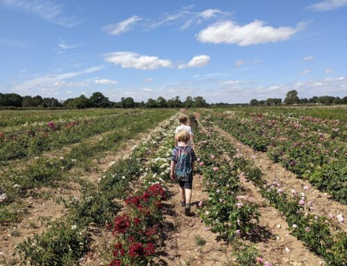 Going Peat-free to Protect our Future