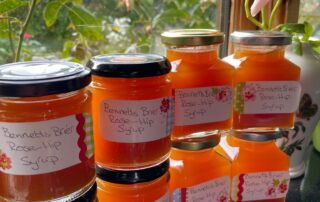 Jars of rose-hip syrup.