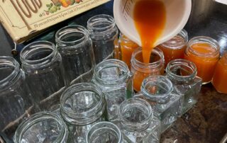 Pouring rose-hip syrup into jars