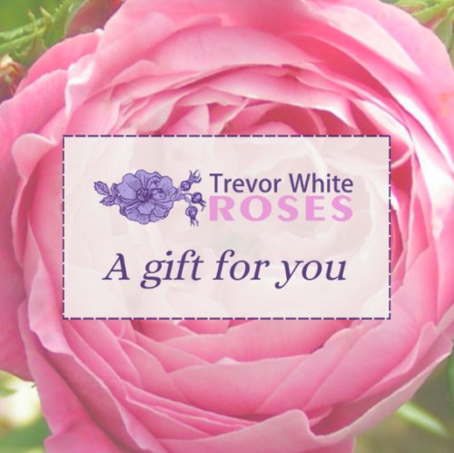 Gift voucher